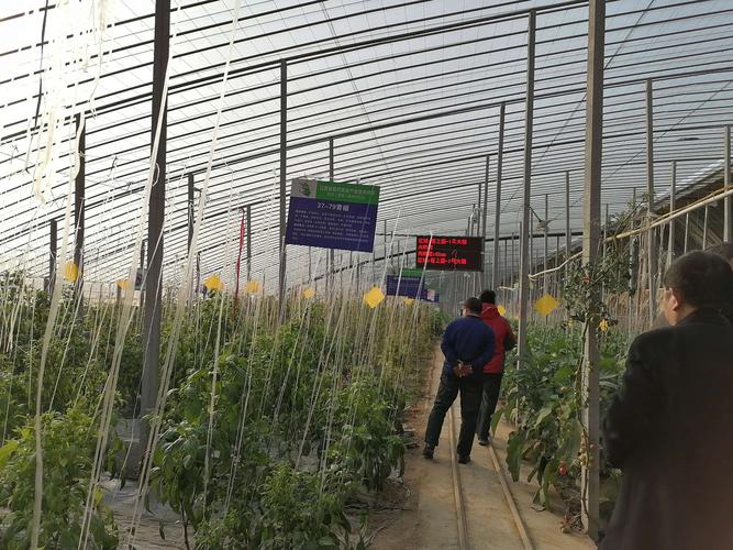 参观徐州贾汪的农业科技示范基地